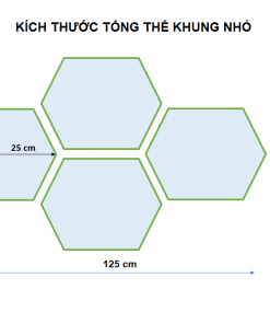 kich thuoc luc giac nho