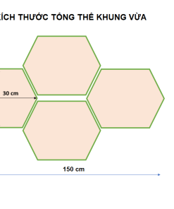 kich thuoc luc giac vua
