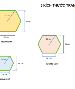 kich thuoc luc giac 01