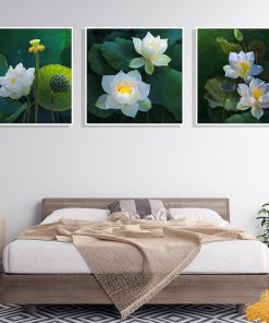Tranh hoa sen treo phòng ngủ