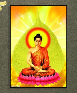 Tranh Phật Thích Ca đẹp